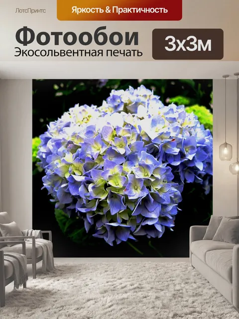 Фотообои цветущие гортензии