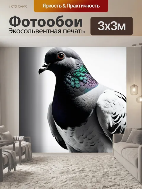 Фотообои с голубем чернобелый