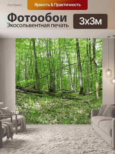 Фотообои Лес