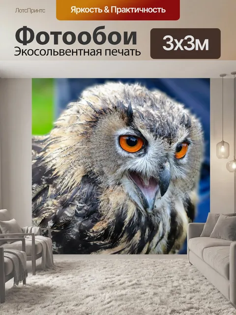 Фотообои Филин