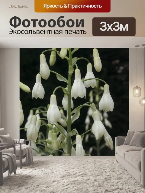 Фотообои Цветы