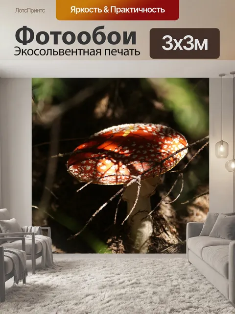 Фотообои Гриб