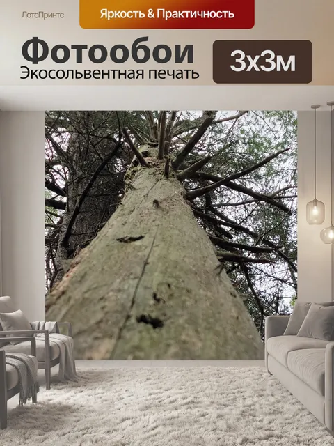 Фотообои Бедные