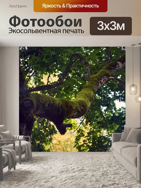 Фотообои Лес