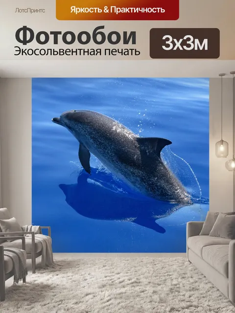 Фотообои Дельфин