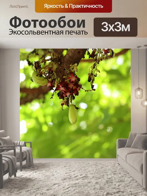 Фотообои Билимби