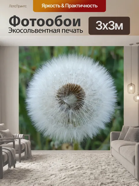 Фотообои Одуванчик