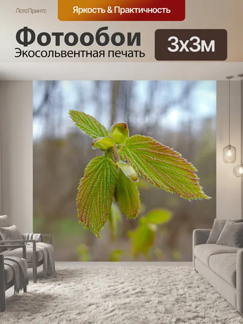 Фотообои Природа