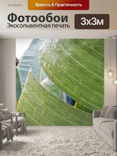 Фотообои Крупный план влажных банановых листьев