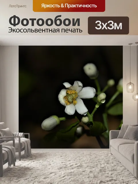 Фотообои Цветы