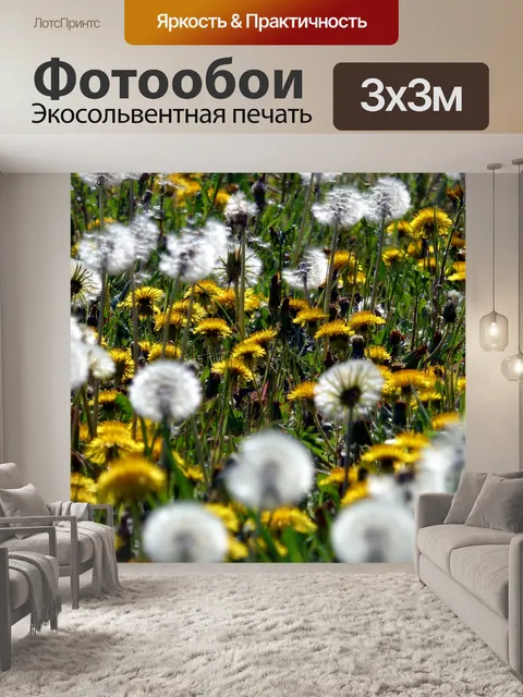 Фотообои Цветы