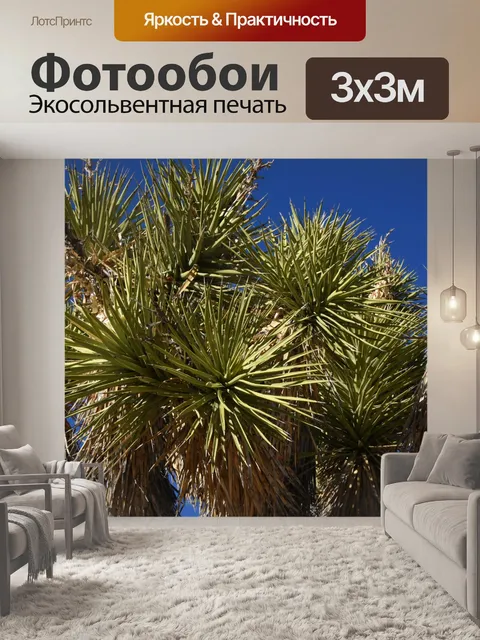 Фотообои Joshua Tree Крупным планом листья