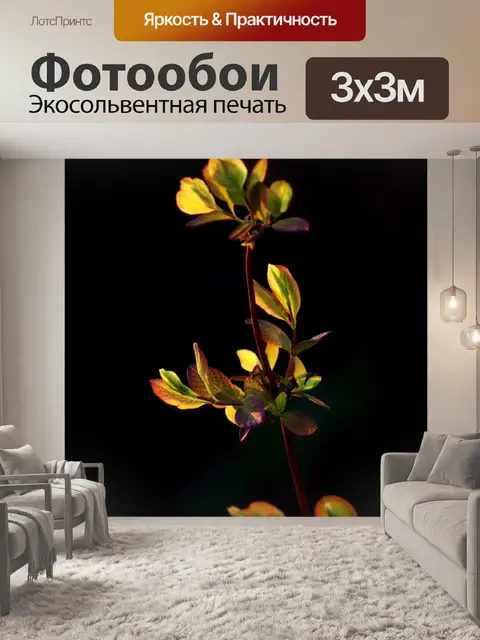 Фотообои Ветка