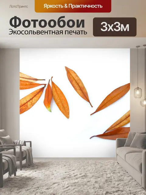 Фотообои Сухие листья