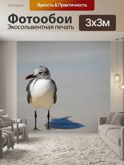 Фотообои Птица