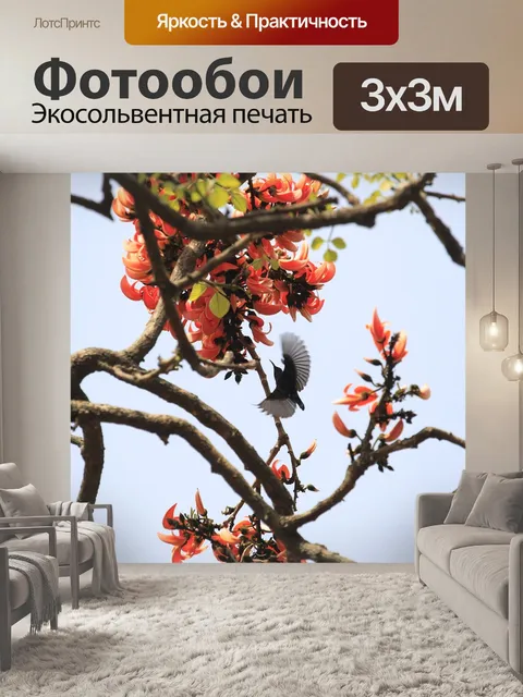 Фотообои Птица