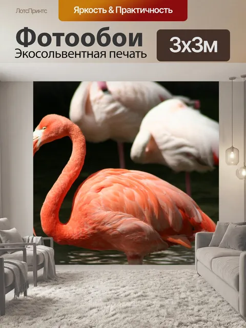 Фотообои Птица