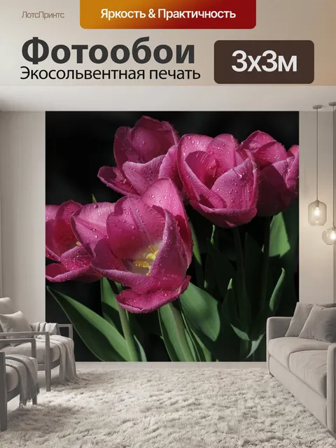 Фотообои Тюльпаны