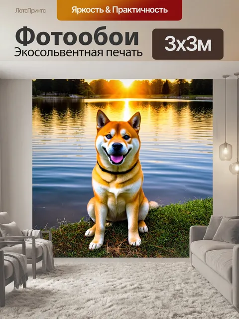 Фотообои сиба ину, сидящий на берегу озера с отражением заката на воде