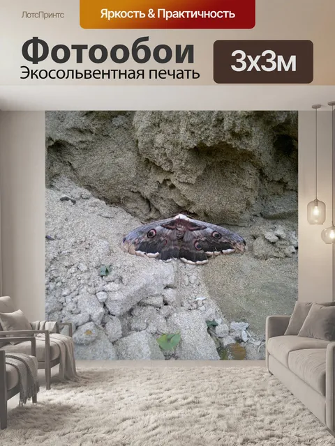 Фотообои Бабочка