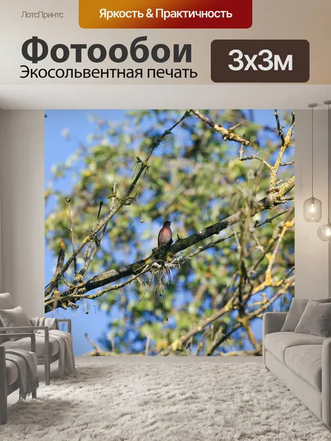 Фотообои Птица