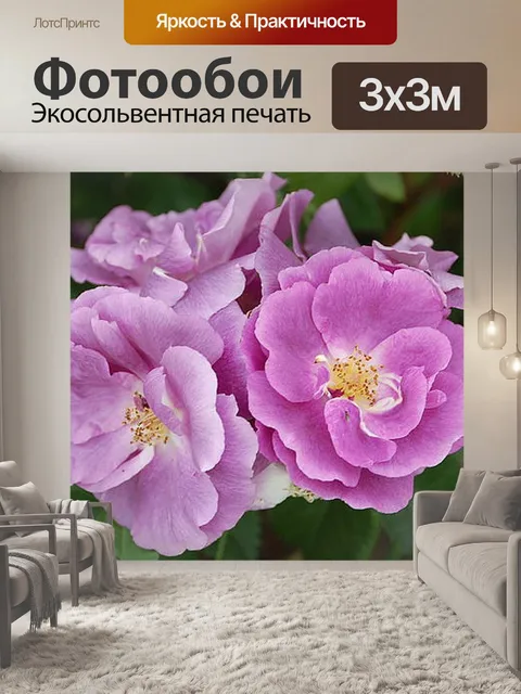 Фотообои Розы
