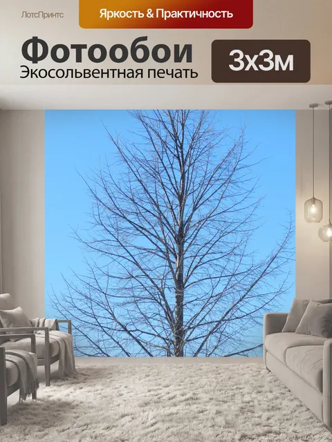 Фотообои Линден зимой