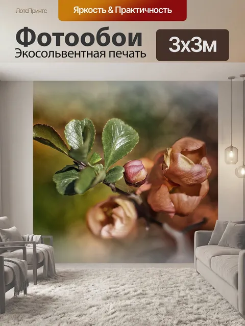 Фотообои Цветы