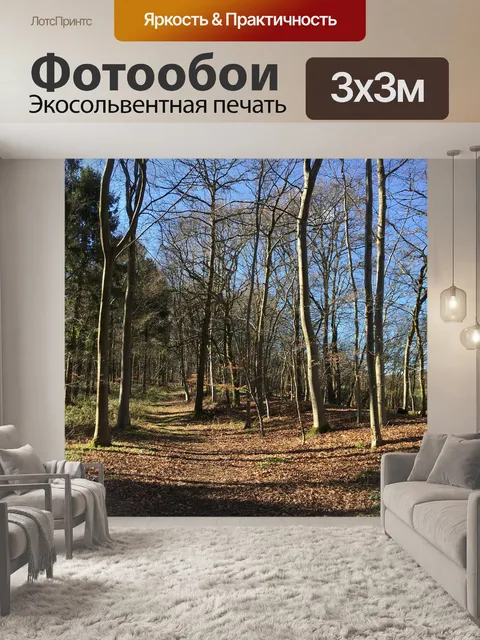 Фотообои Лес