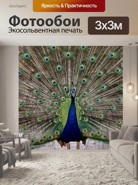 Фотообои Павлин