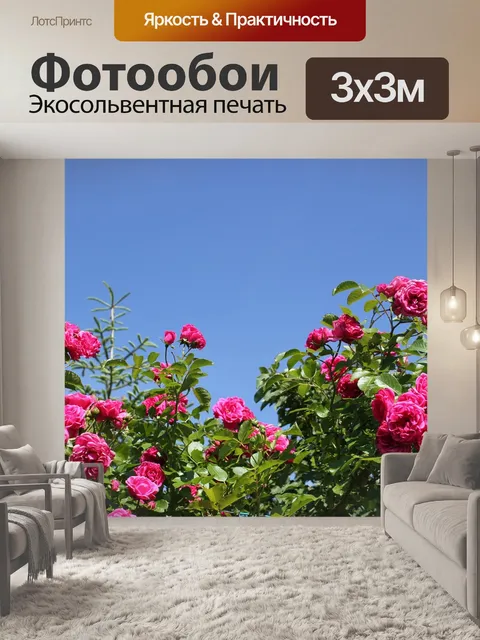 Фотообои Розы