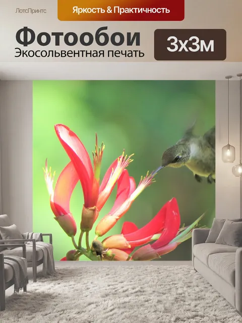 Фотообои Птица