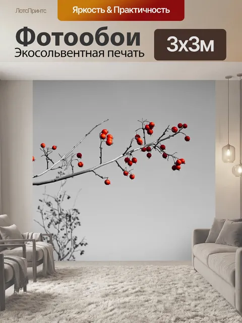 Фотообои Красные ягоды