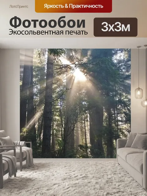 Фотообои Лес