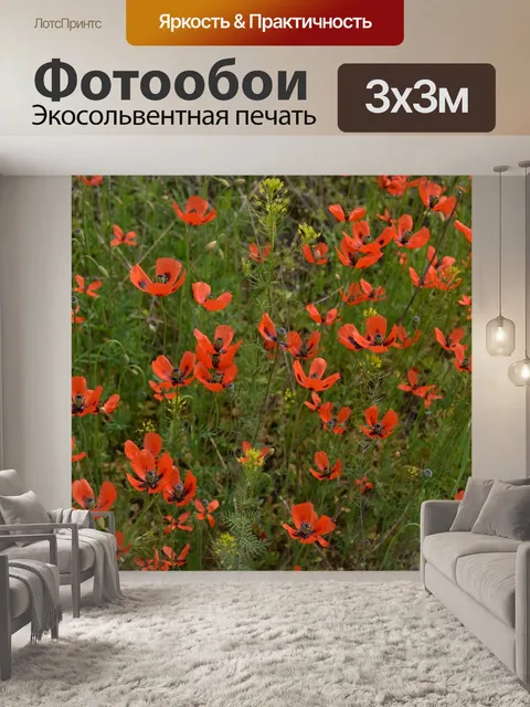 Фотообои Маки