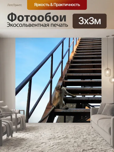 Фотообои Обезьяна