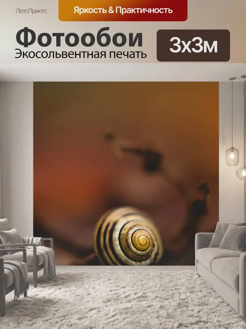 Фотообои Улитка