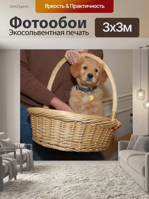 Фотообои Щенок