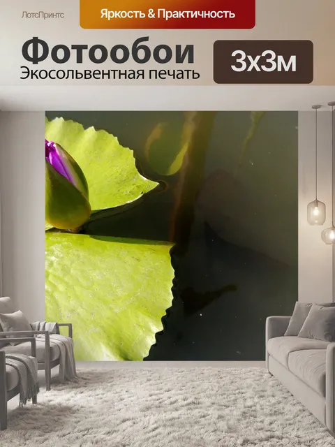 Фотообои Цветок