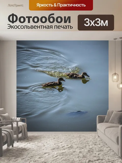 Фотообои Поверхность воды