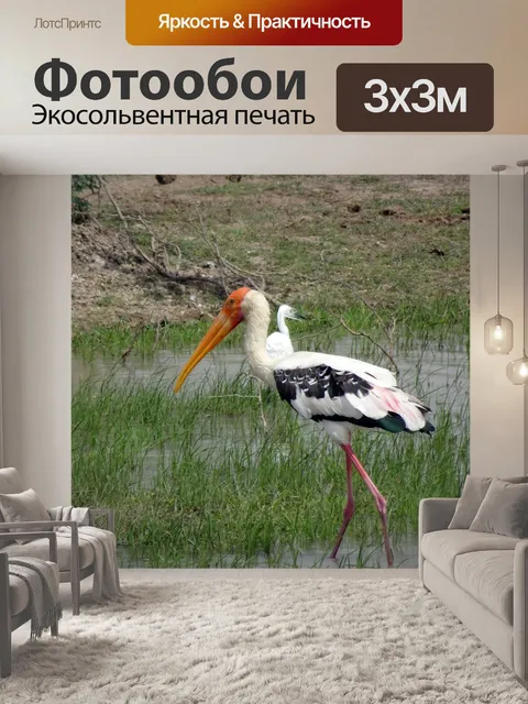 Фотообои Птица