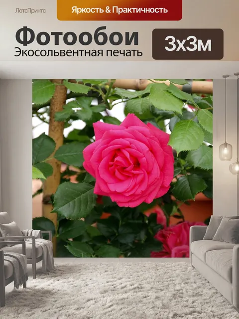 Фотообои Розы