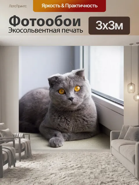 Фотообои Кошка