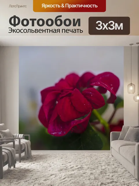 Фотообои Любитель садоводства