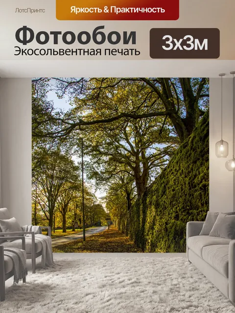 Фотообои Осень Путь