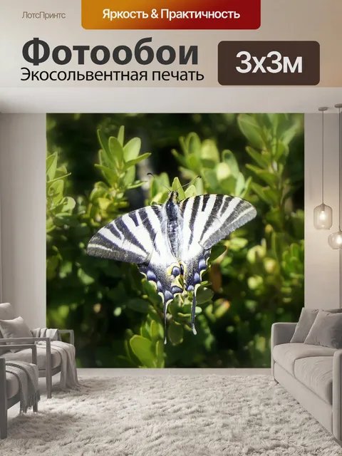 Фотообои Бабочка