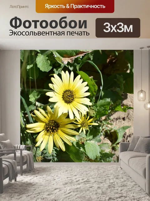 Фотообои Цветы