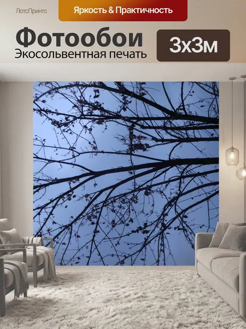 Фотообои Силуэт Деревья По Dark Skies