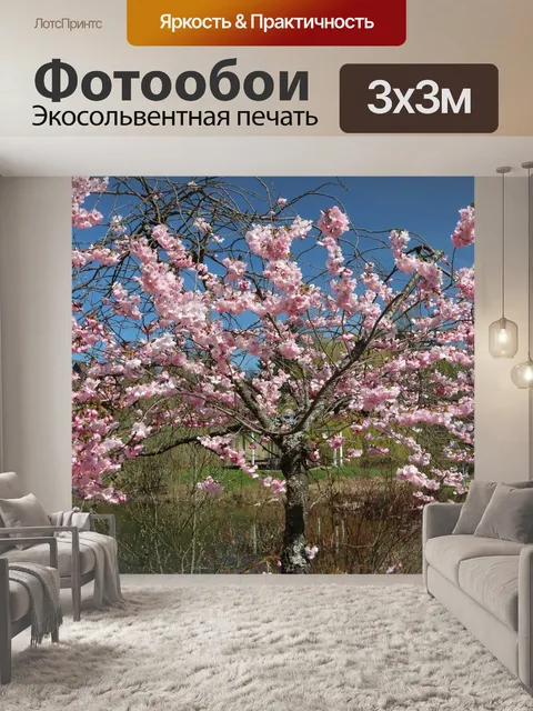 Фотообои Вишневое дерево