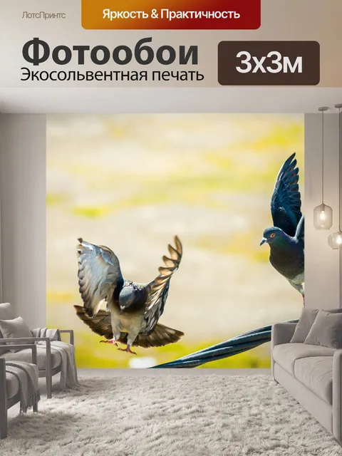 Фотообои Летать